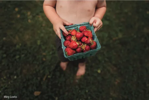 Servizi fotografici bambino con fragoline di bosco