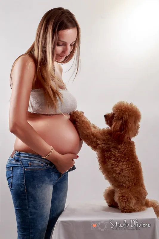servizio gravidanza in studio con barboncino