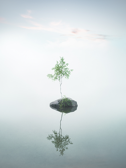 Spazio negativo.soggetto centrale foto di Mikko Lagerstedt