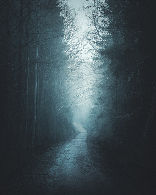 Spazio negativo.soggetto centrale tra la nebbia foto di Mikko Lagerstedt