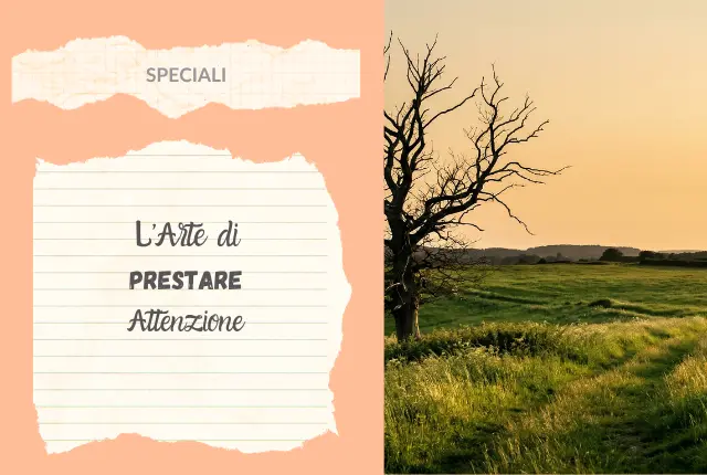 l'arte di prestare attenzione