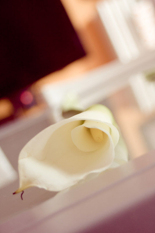 Matrimonio all'americana - Carpi - Villa Ascari